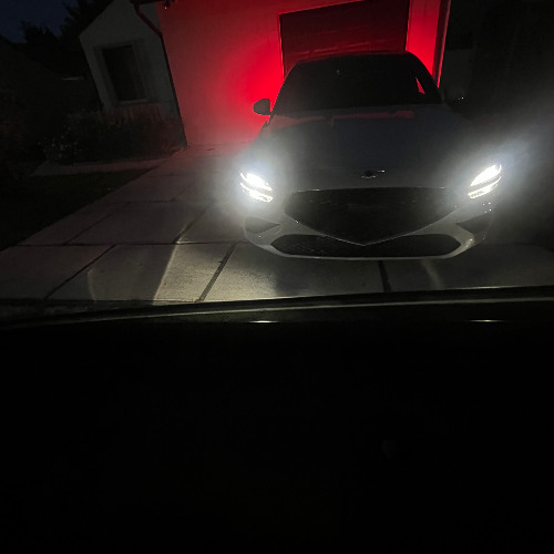 Like Mike x BenchTray