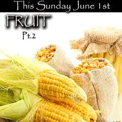 FRUIT Part 2