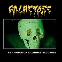GALACTOSE - RE - ANIMATOR X CANNABISXCORPSE