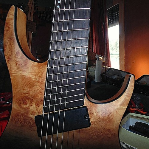 subzero 8 string guitar