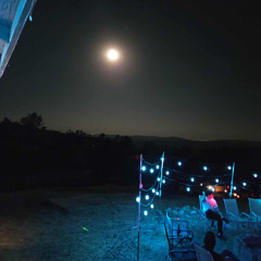 Sarah Handpan I Hate The Sun