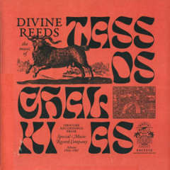 Irregular Frequencies 046: Ritual Migrations w/ Storm Stereo (13.04.25)