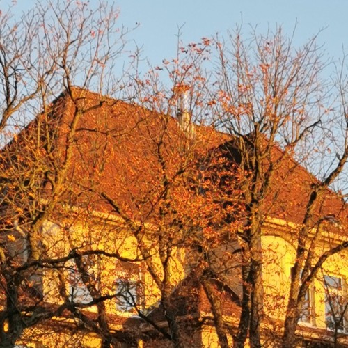 HERBST (Prod. Deymx)
