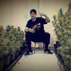 Don't Stress [Evidence]