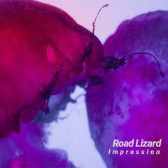 Best of Road Lizard