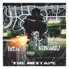 Encanto- talkin No Manners