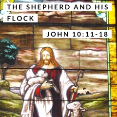 The Shepherd and His Flock; John 10:11-18