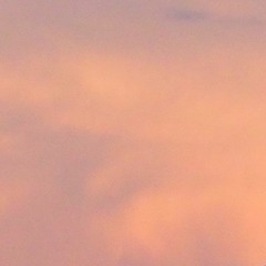 Game of Pricks (guided by voices)