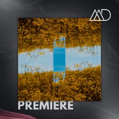 PREMIERE: Aalson - World Of Reflections (Mitch De Klein Remix) [Sinners]
