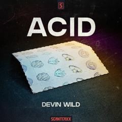 02. Devin Wild - ACID