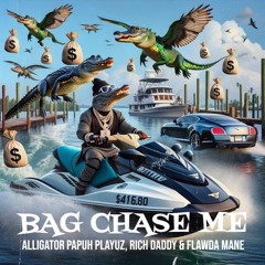 Bag Chase Me
