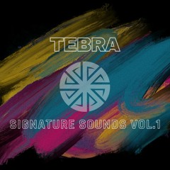 The Sound Of TEBRA Vol.1(Sample Pack Demo)