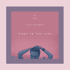 Birds in the Cars (Original Mix)