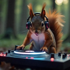 Squirrel Frequency • FTR154