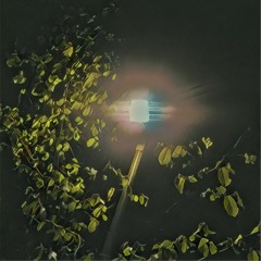 Licht - BHZ Monk x Ion Miles x Longus Mongus Type Beat