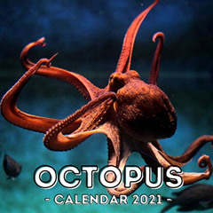 [VIEW] KINDLE ✉️ Octopus: 2021 Calendar Book, Cute Gift Idea For Octopus Lovers Men A