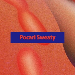 Pocari Sweaty at Organik Festival 2023