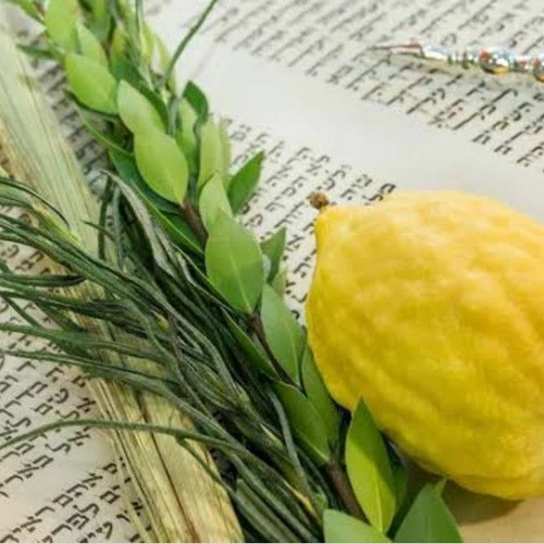 Stream Por qué Sucot es la fiesta de Alegría by Salomon Michan M