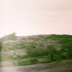 Greet Death - New Low (cover)