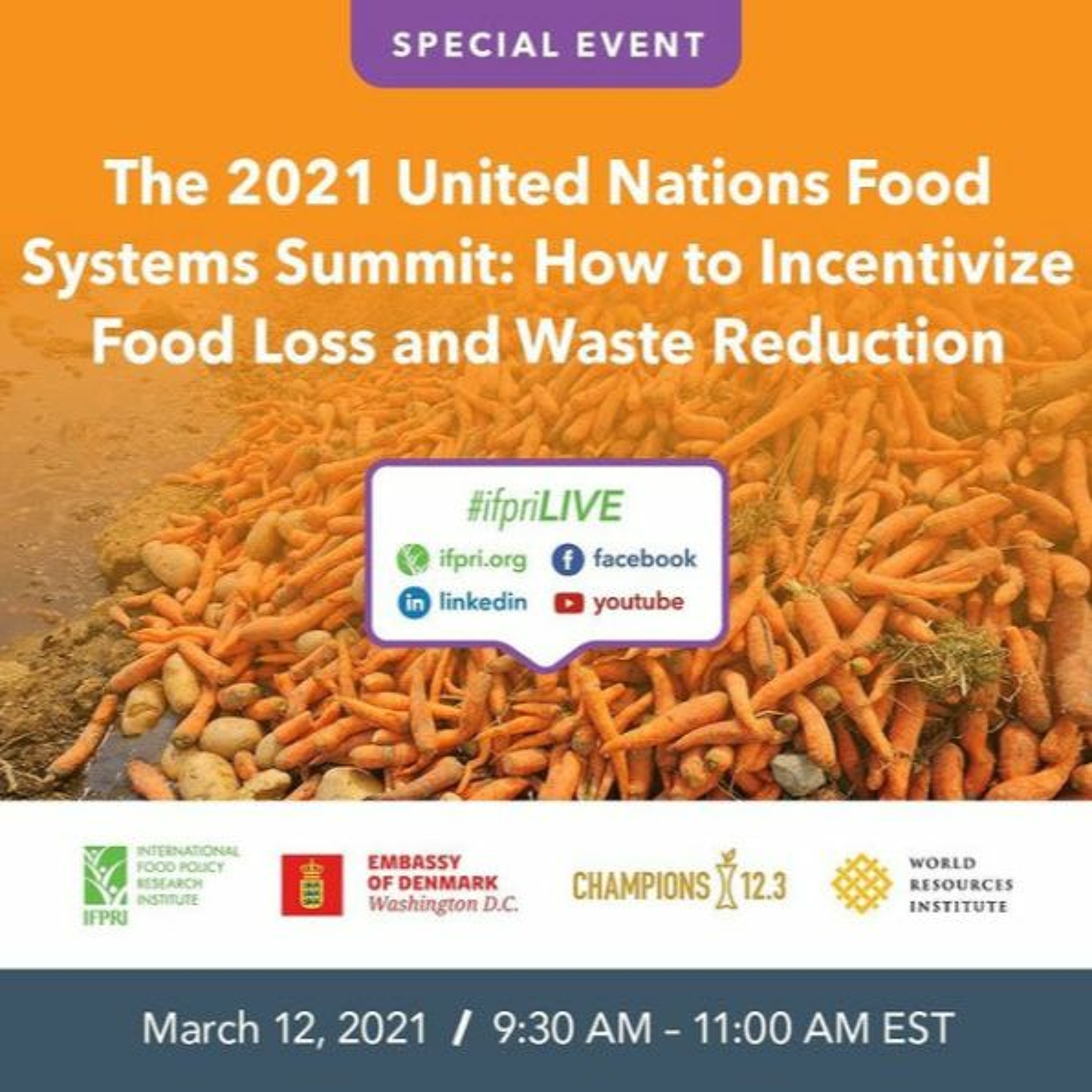 The 2021 United Nations Food Systems Summit: How to Incentivize Food Loss and Waste Reduction? episode artwork