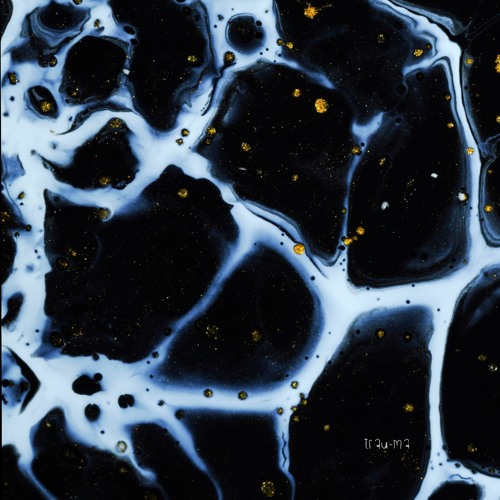 Mogo & Nocturnal Thing - A Constant Loop Towards The Sky (Original Mix) [TRM276]