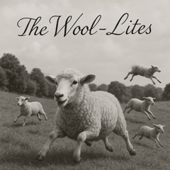 Wool You Lie