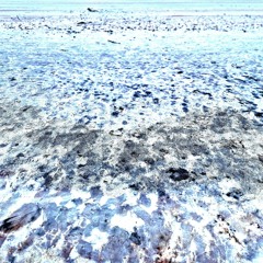 Hypnotic Series [005]