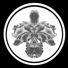 Efectiv (Esente)