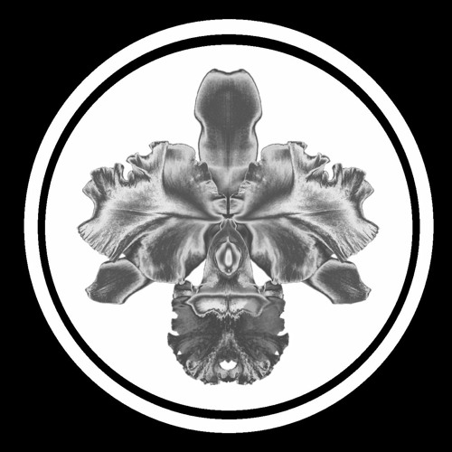 Efectiv (Esente)