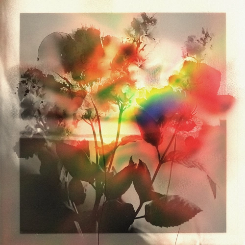 Artwork for the song Dusky, farsight, Manga Saint Hilare - Work by Dusky on Next Sound