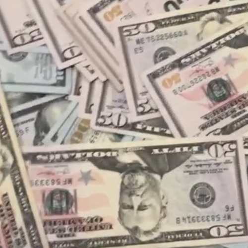 Lando Guapo - Dog around