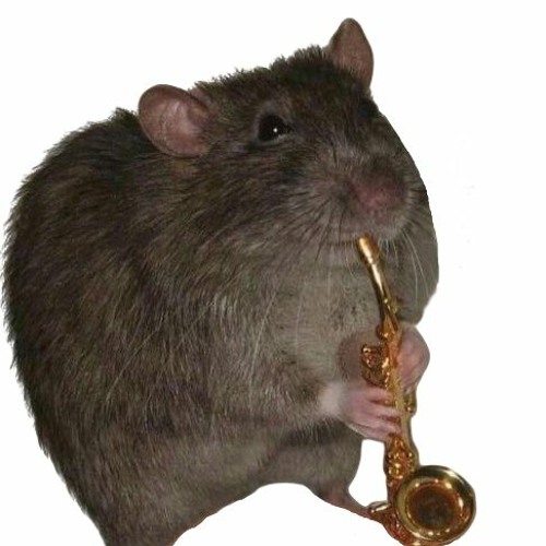 ya like jazz?