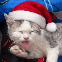 FLIPSWITCH - COOL DUB ( FREE DOWNLOAD)