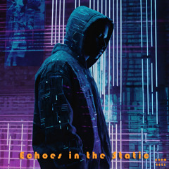 Echoes in the Static