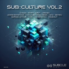 SUB:CULTURE VOL.2 VA