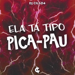ELA TÁ TIPO PICA - PAU - DJ CILAD4