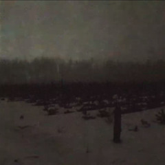 Моя жизнь не имеет цели.