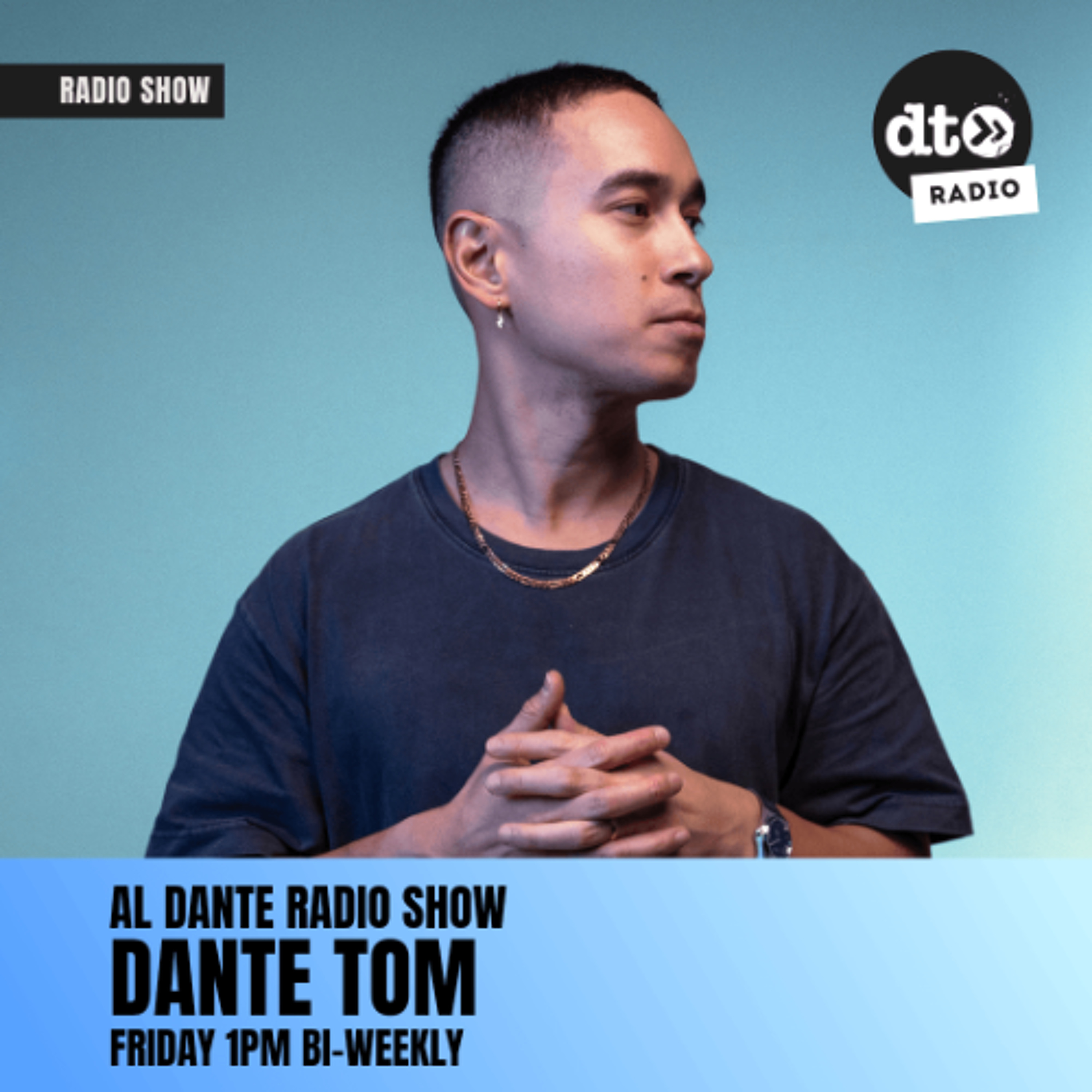 Al Dante Radio Show 010 [Deep, Soulful, Funky] episode artwork