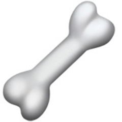 Bones
