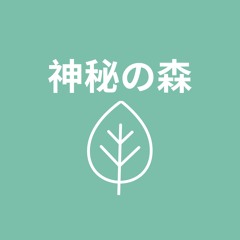 神秘の森 (MYSTICAL FOREST)