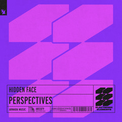 Hidden Face - Perspectives