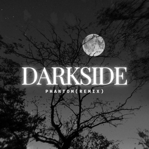 PHANTOM - Darkside (Remix)