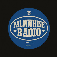 Palmwhine Radio Vol.1 (90s & 00s R&B, Afrobeats, Amapiano, Salsa Mix)