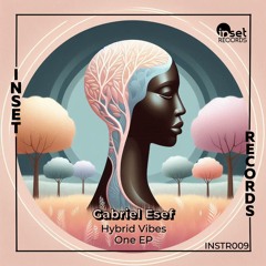Gabriel Esef ft. Vlad Gliga - Dreamer ( Original Mix )