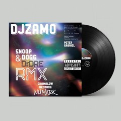 DjZamo - Snoop Dogg & Dr Dre vs Peter Gabriel ((Next Episode 🇺🇲RMX))