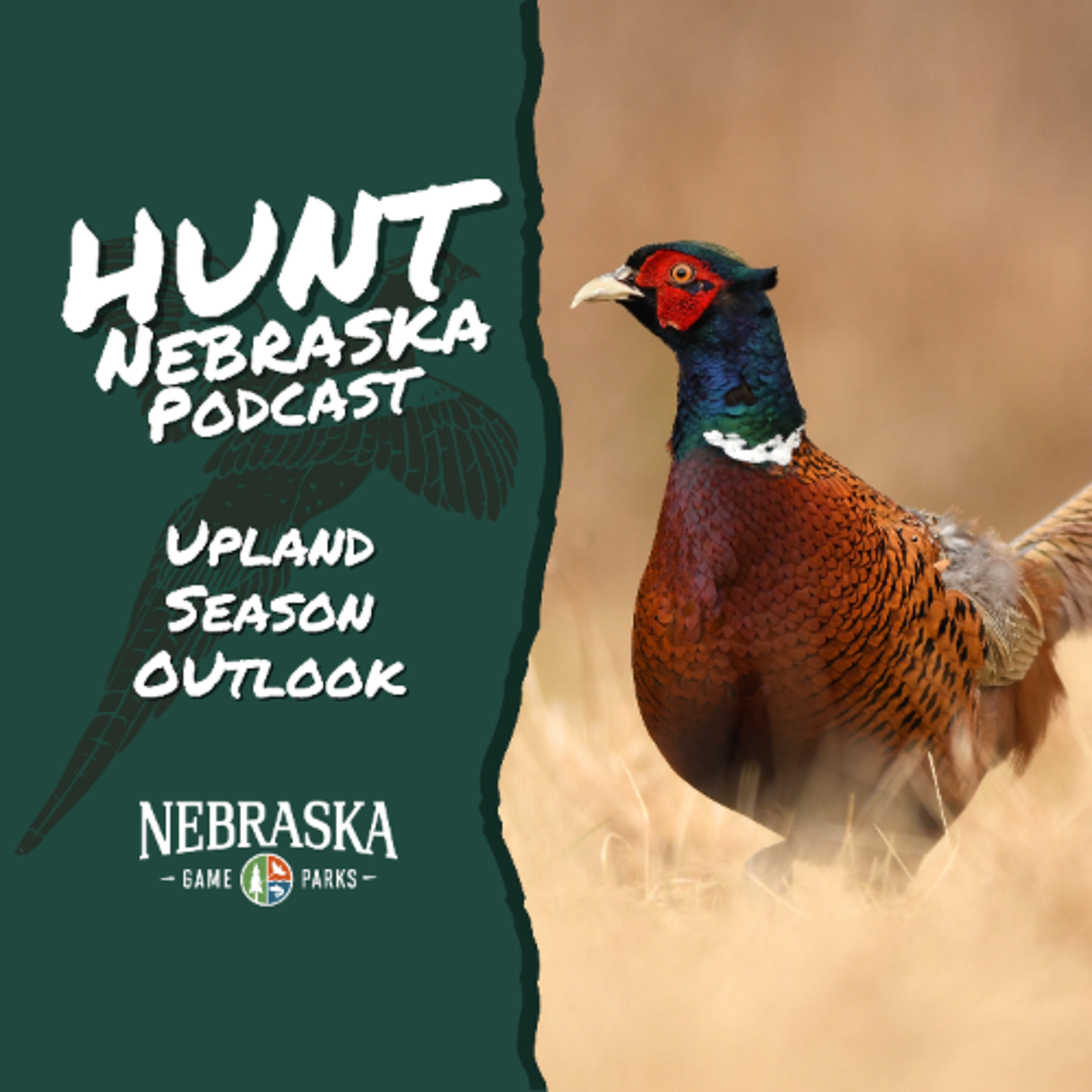 Upland Season Outlook