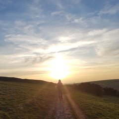 Grow Flowers & Feathers & Fly