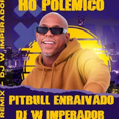 PITBULL ENRAIVADO - DJ W IMPERADOR - HO POLÊMICO