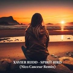 Xavier Rudd - Spirit Bird (Nico Casceur Remix)