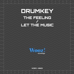 Drumkey - Let The Music